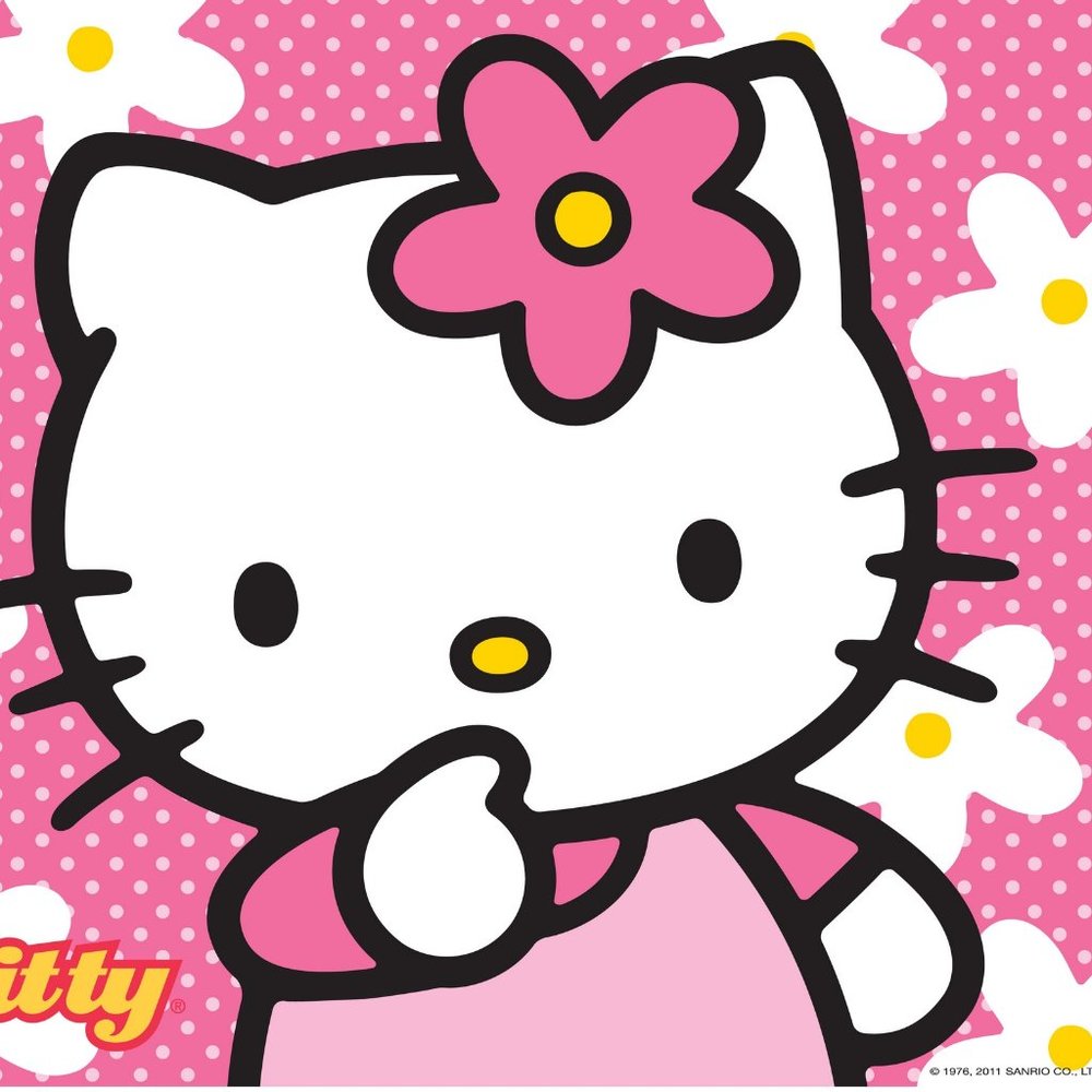 Hello Kitty Rules All - Picture 8 of 8
